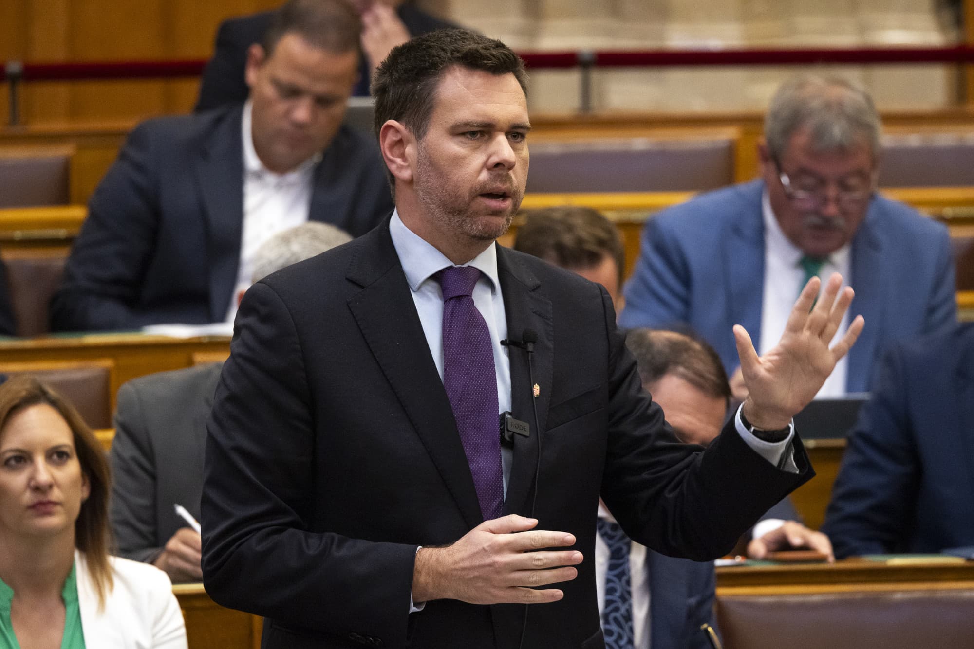 A kormányé lesz a rákosrendezői beruházásért felelős cég fele
