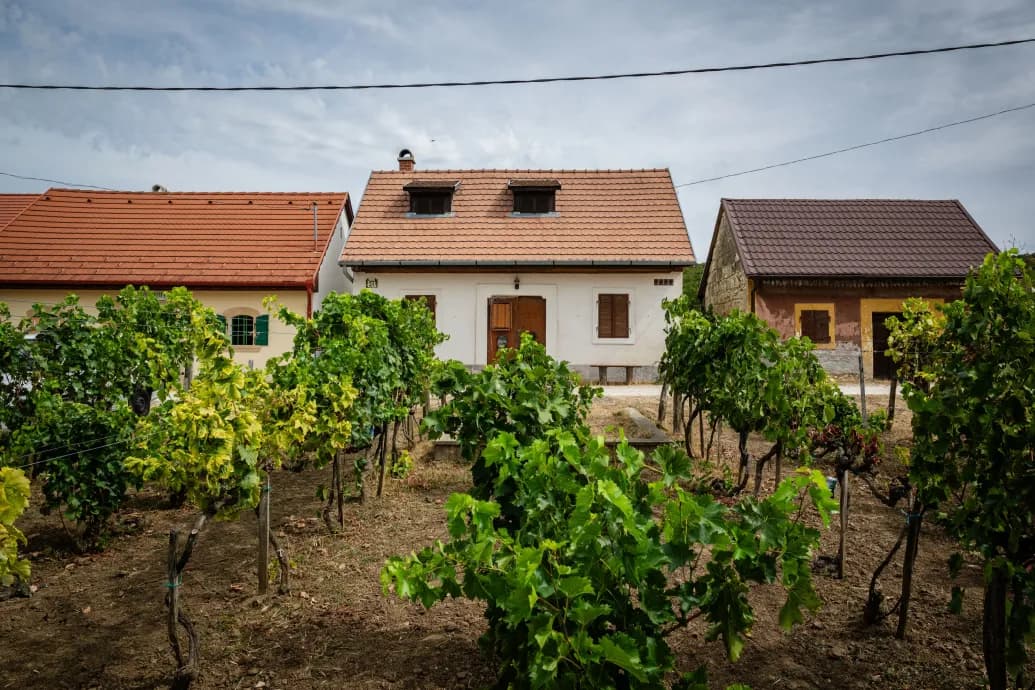 Biatorbágy hadat üzenne az illegális beköltözésnek, hatalmas felháborodás lett belőle