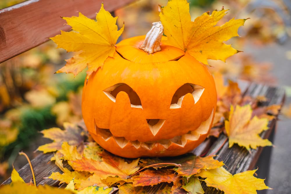 Az egyházak tiltakozása ellenére is lesz Halloween-fesztivál Segesváron