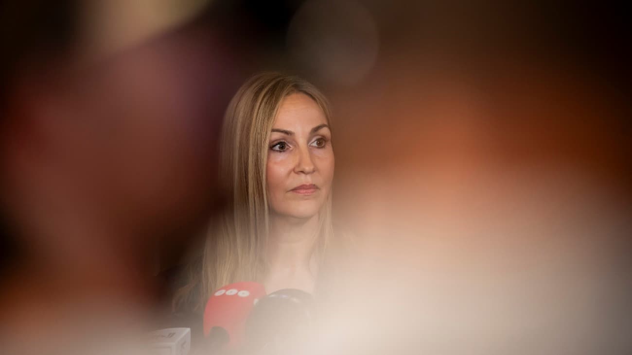 Diószegi Judit a gyermekvédelmi vizsgálóbizottság indulásáról: most még konstruktív a hangulat, konkrét hatósági ügyekbe nem fogunk belemenni