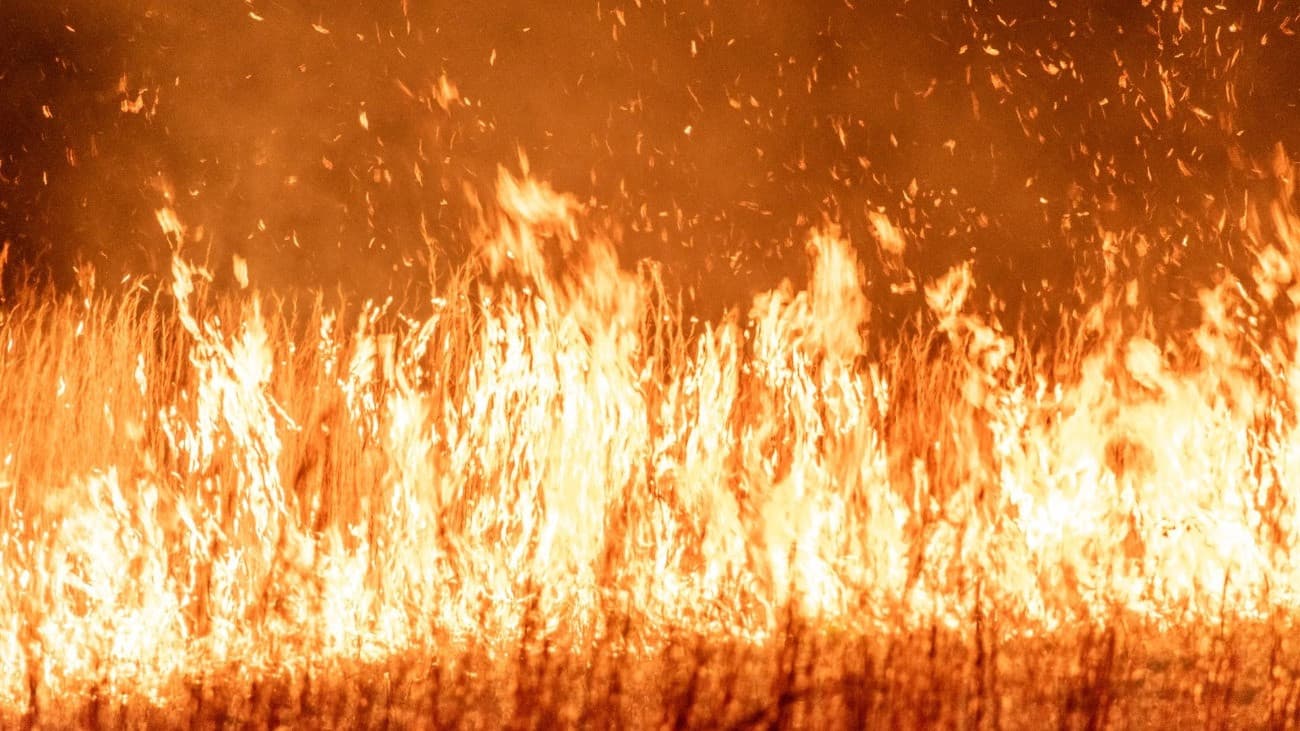 Emberölés történt Szentendrén, egy leégett házban bukkantak a holttestre