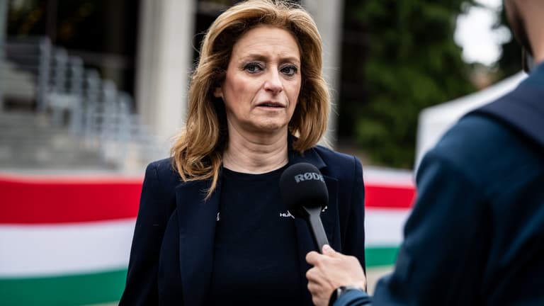 Súlyos hibákról és a gyermekvédelem mulasztásairól beszélt Ferencz Orsolya