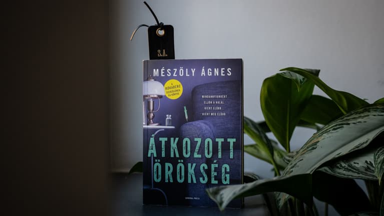 Átiratott végrendeletekre hajtott a sorozatgyilkos a pesti idősotthonban