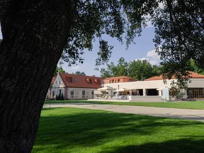 Kiruccanás Budapestről természetközeli kalandokkal – A Zichy Családi Élménybirtokon jártunk