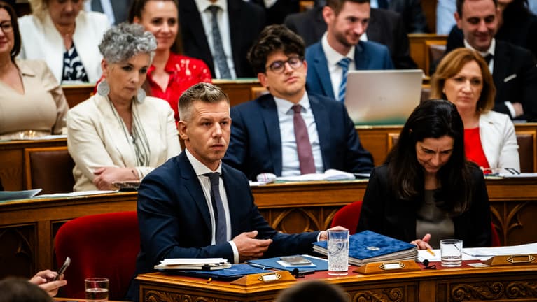 Súlyos az összezördülés, Unger Anna ügye felkavarta a Tisza táborát