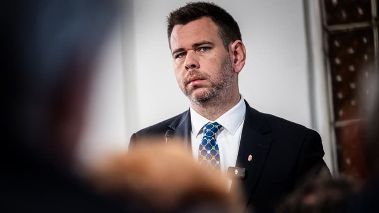 Vitézy Dávid leállította Zuglóban a fakivágást, teljes felülvizsgálatot rendelt el
