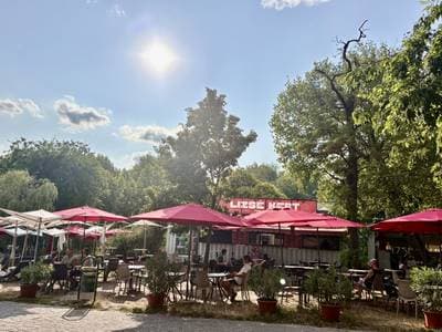 Digó Pizza, Tuning Burger és napozó a tóparton – A Városliget rejtett gyöngyszeme a Lizsé