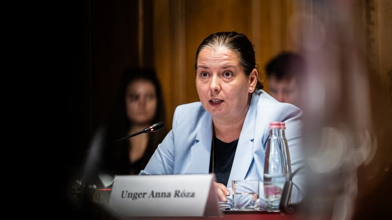 Unger Anna: Már egy tucat ügyész és nyomozó fogadta el az NVVH állásajánlatát