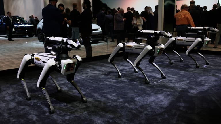 Robotkutyákkal erősít az amerikai bevándorlási hivatal