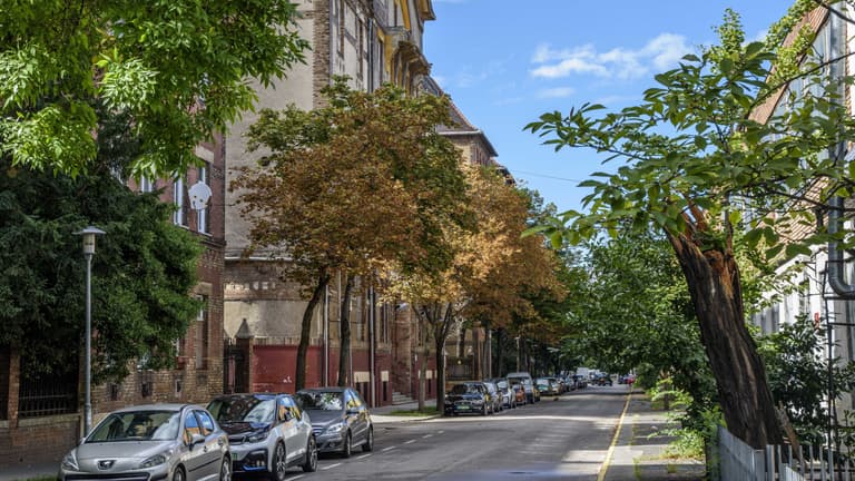 Sosem találná ki, melyik Budapest egyik leggyorsabban fejlődő kerülete