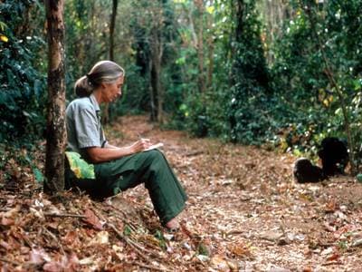 Vissza a természethez és önmagunkhoz – Budapesten rendezik a világ első Jane Goodall Fesztiválját