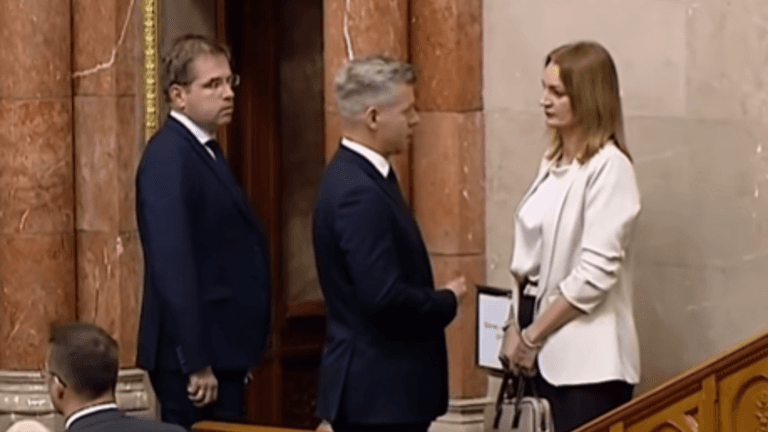 Forsthoffer Ágnes elmondta, mi történt valójában a jelenetben, amit Németh Balázs levideózott