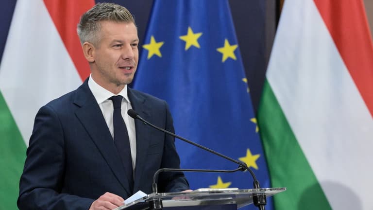 Magyar Péter is reagált Alekszandar Vucsics bejelentésére