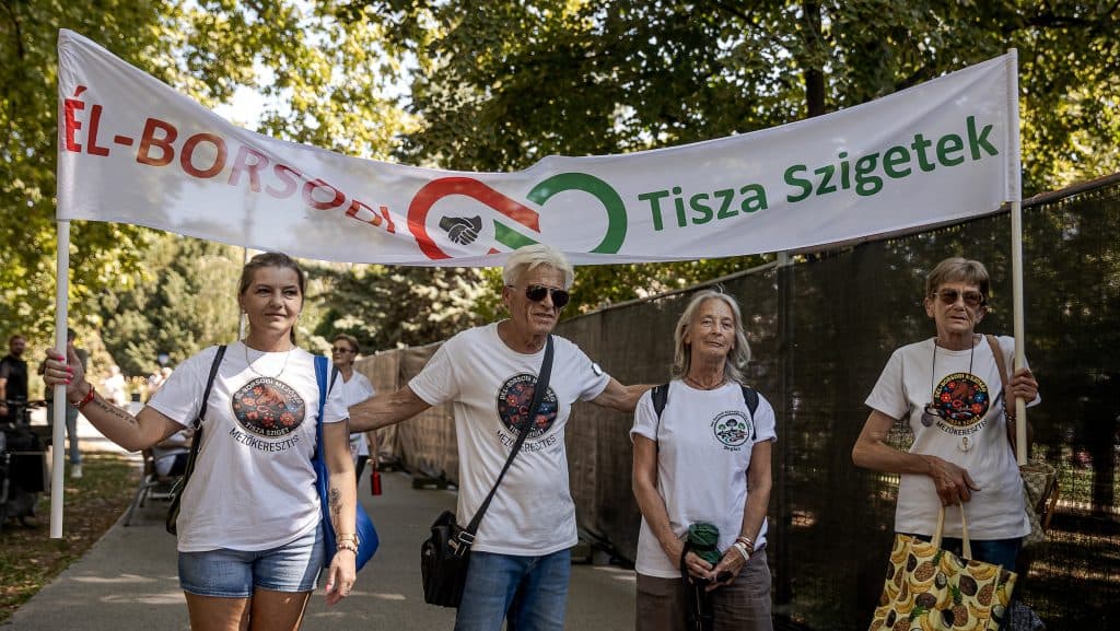 Kiírták a Tisza Szigetek vezetői pályázatát, csak egy önéletrajz kell hozzá