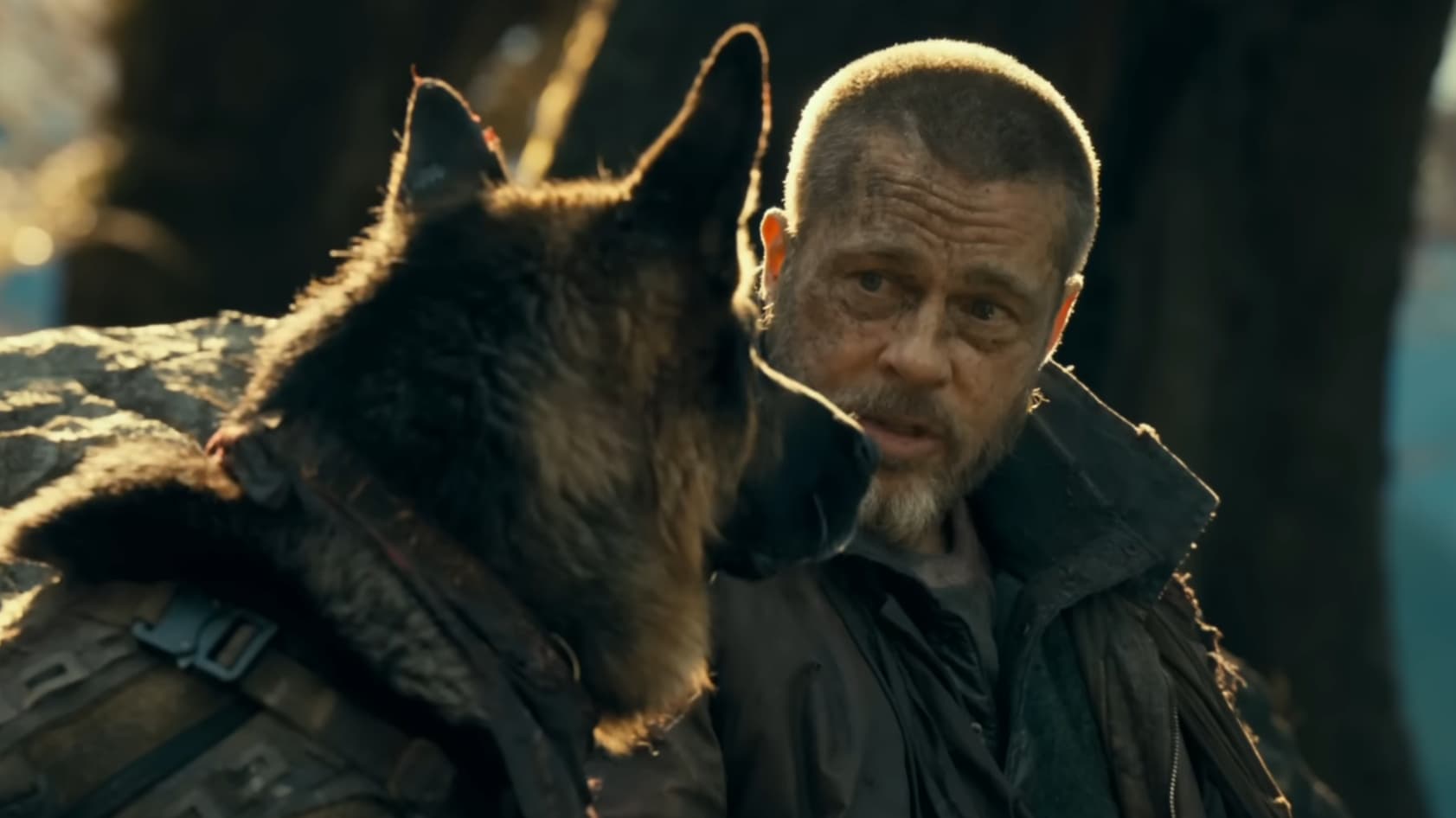 Brad Pitt és az ezüstfogú kutyája farkasokkal is szembenéznek A vadon szíve új előzetesében