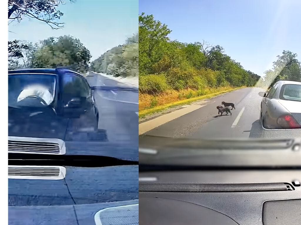 A BMW-s, aki hírből sem ismeri a követési távolságot és a vezetésre alkalmas lábbelit