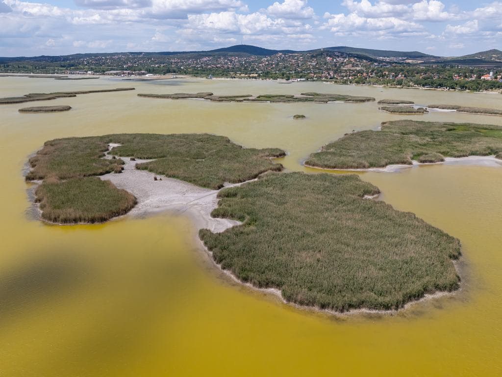 Drámai fordulat a Velencei-tónál, augusztusra eltűnhet az összefüggő vízfelület