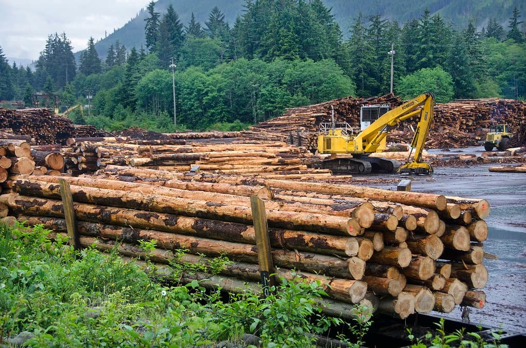 Több százezer családot érintő döntést jelentett be Magyar Péter