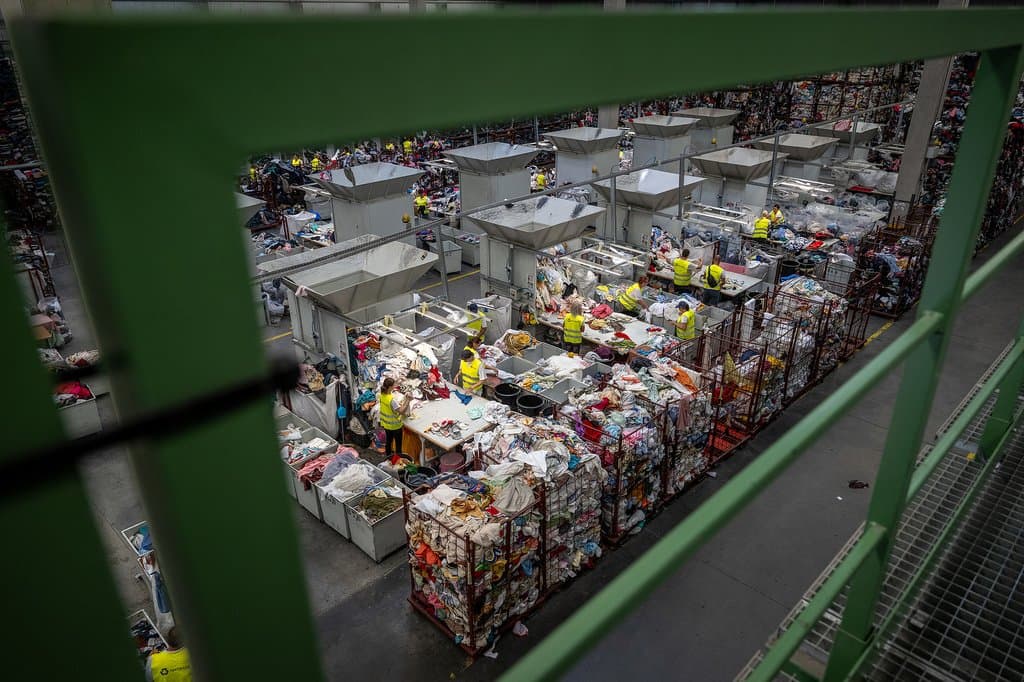 A MOHU kétszer is átgondolta, hogy mit reagáljon Magyar Péter bejelentésére