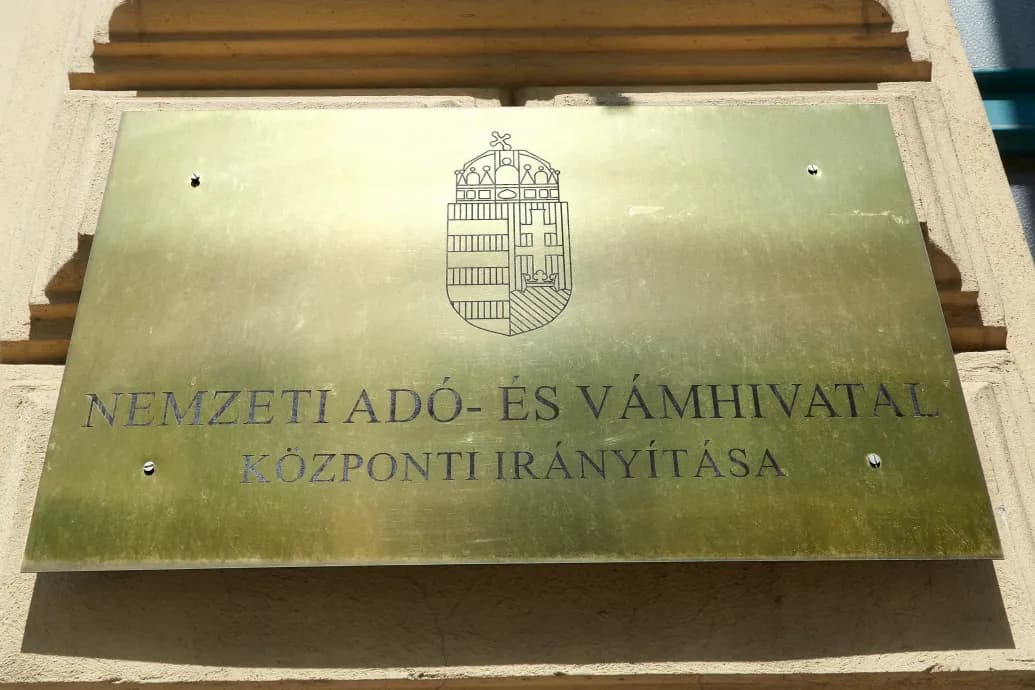 Majdnem ötvenen jelentkeztek a NAV vezetőjének