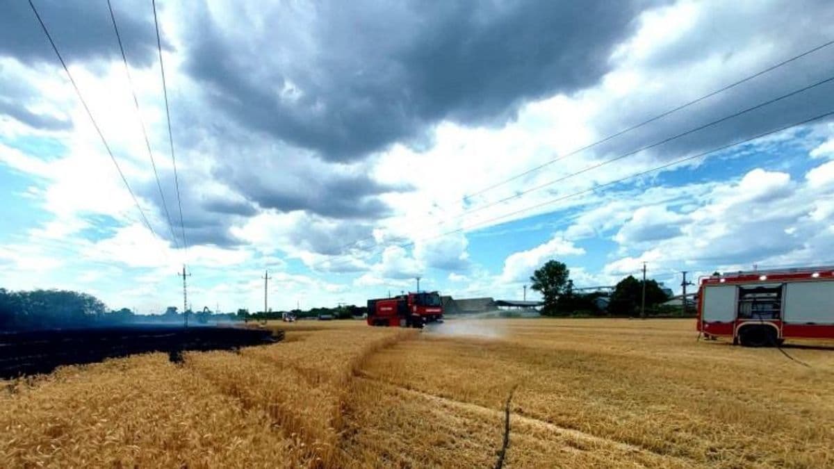 Felfalták a lángok a borsodi horizontot, több hektár égett le teljesen – fotókon a pusztítás