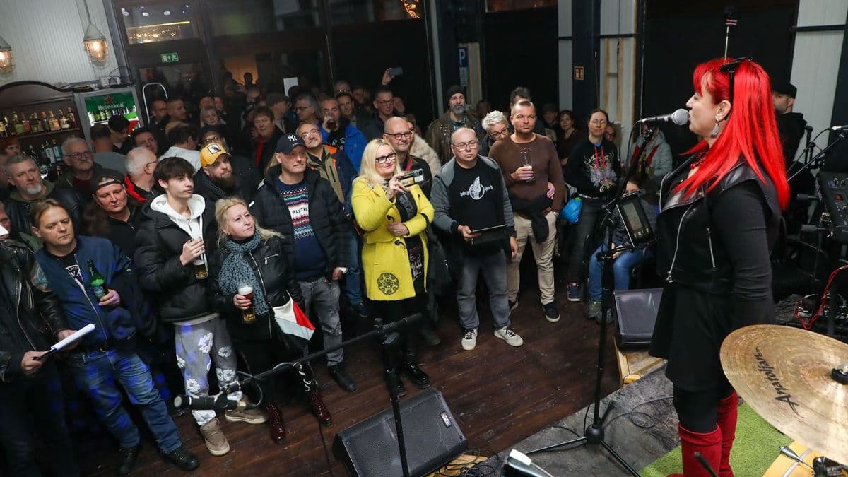 CineFest – Miskolcon Miskolcról: sebészkéssel, Füles és az Avas