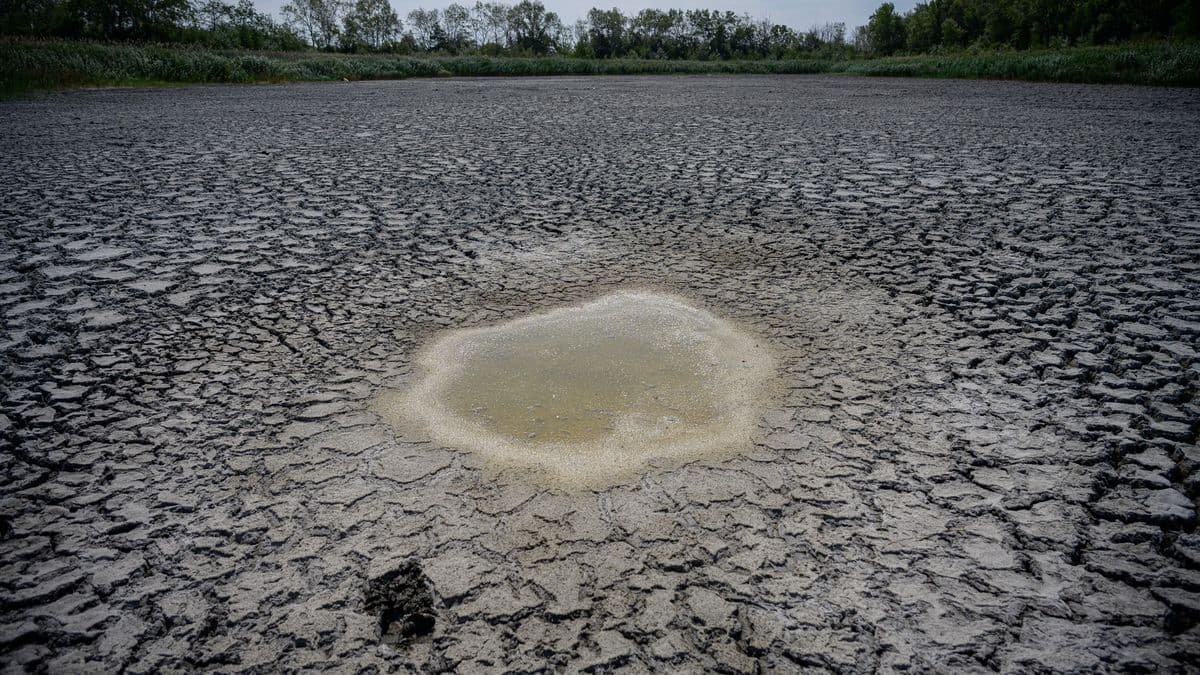 Kiszáradt a Homokhátság, de fordulat jöhet ősszel – a meteorológus elárulta, mire számít – videóval