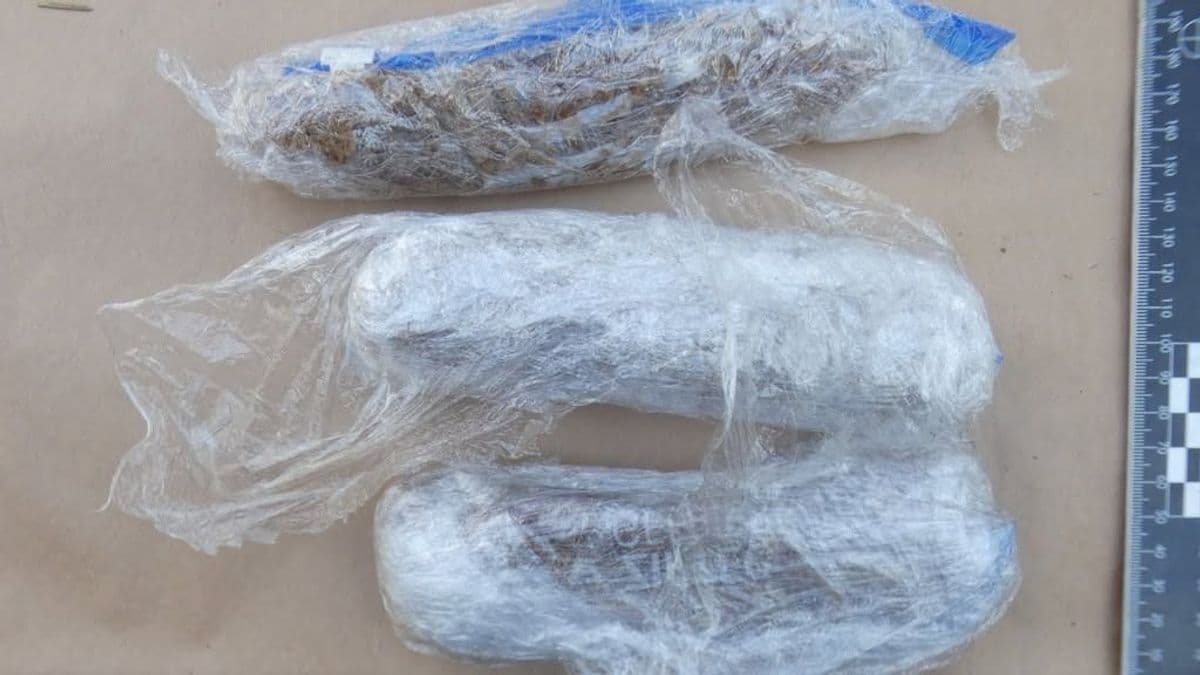 Bombát emlegetett az OZORA Fesztiválon, majd súlyos droggyanú miatt őrizetbe vették