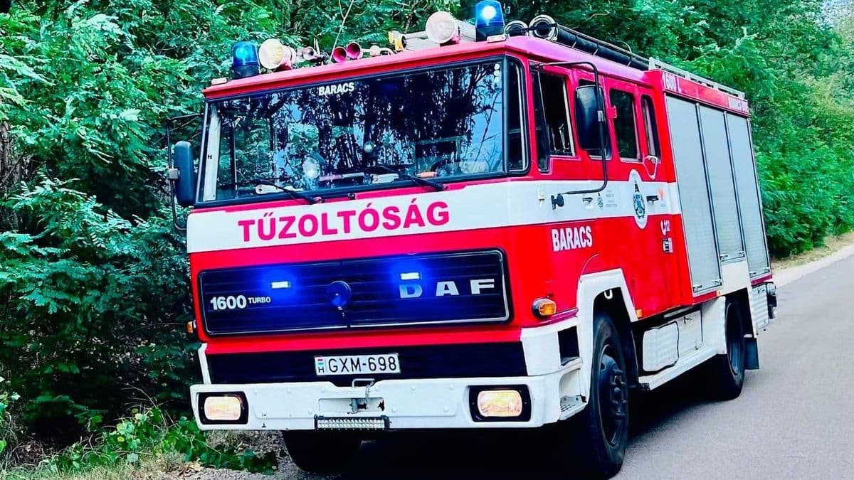 Tűz az M8-as autópálya mellett, több egység küzd a lángokkal