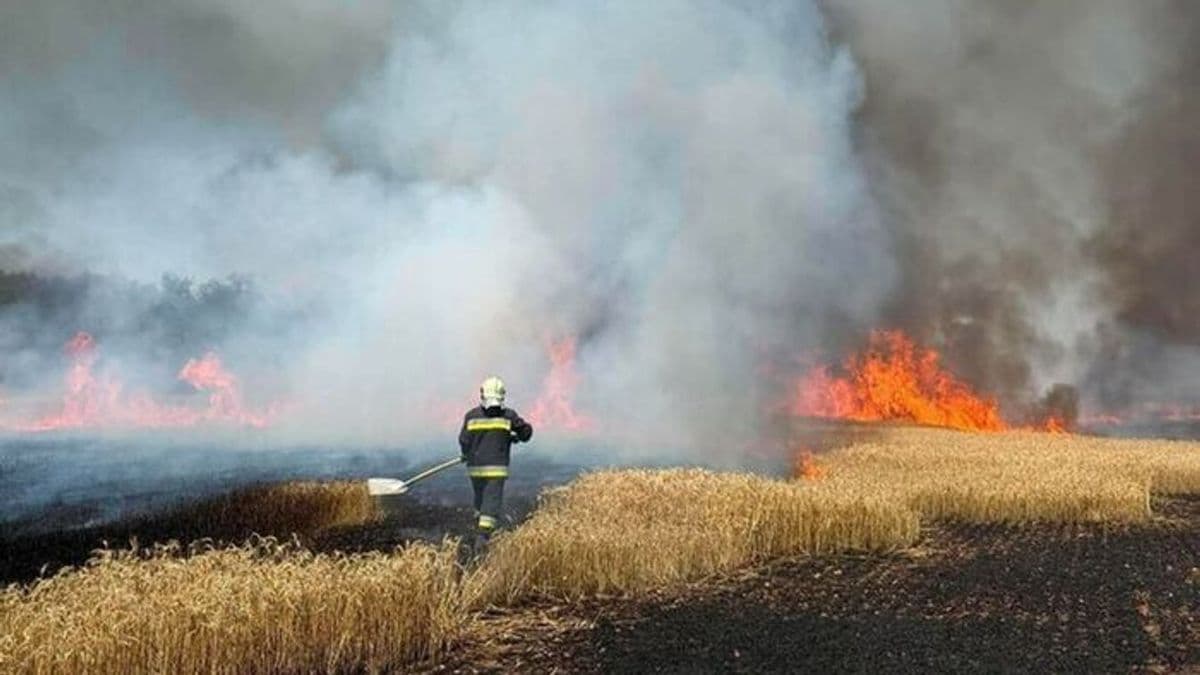Megfeszített munka Besnyőn: a tűz után most a körbálákkal küzdenek a tűzoltók