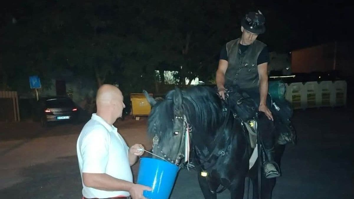 Szívmelengető: Szomjas ló kopogtatott a mentőknél!