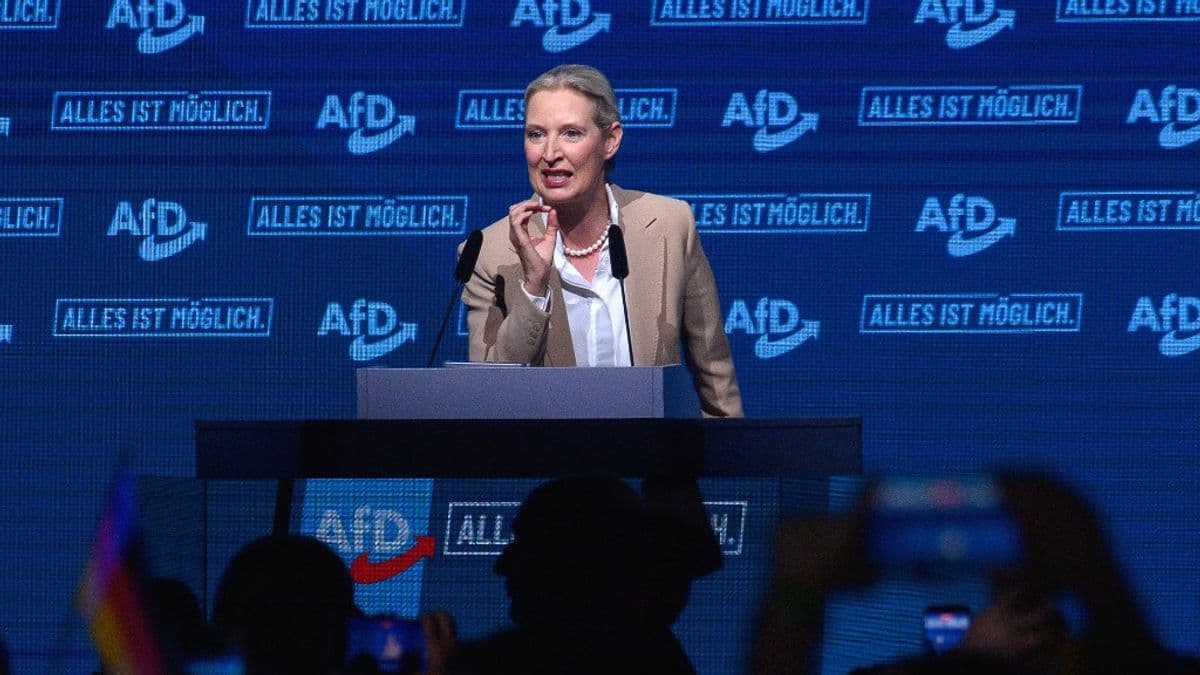 Merz nagy félelme valóra válhat: az AfD kormányra kerülhet