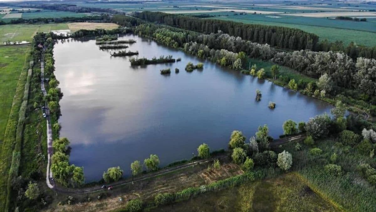 Emberméretű halszörnyet fogtak a hajdú-bihari tavon – fotóval