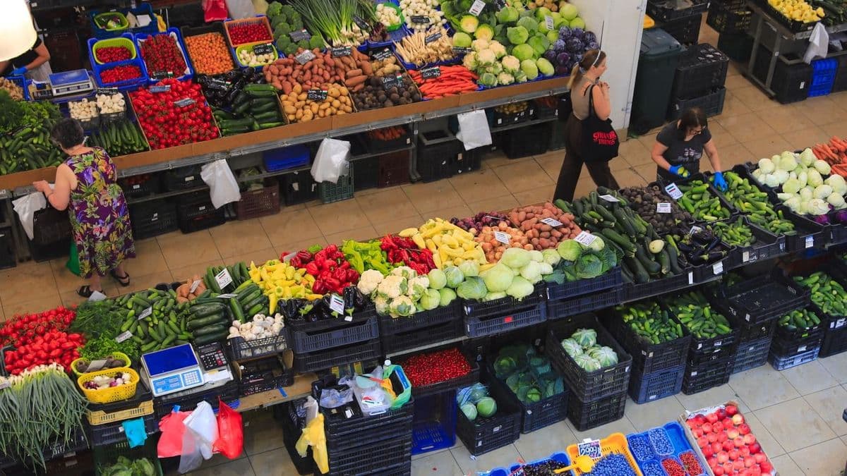 Olcsóbb lett ez a gyümölcs, de a magyar termelőknek keserű lehet az idei szezon