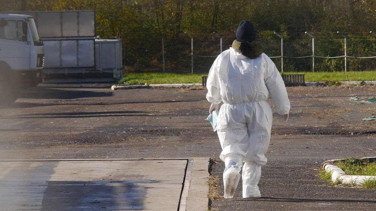 Nagyobb szerephez jut a hatóság a gyorsabb járvány- és válságkezelések érdekében