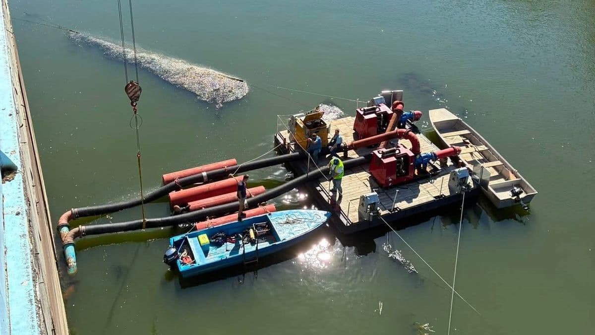Soha nem látott mélypontra került a Tisza – komoly lépésre volt szükség