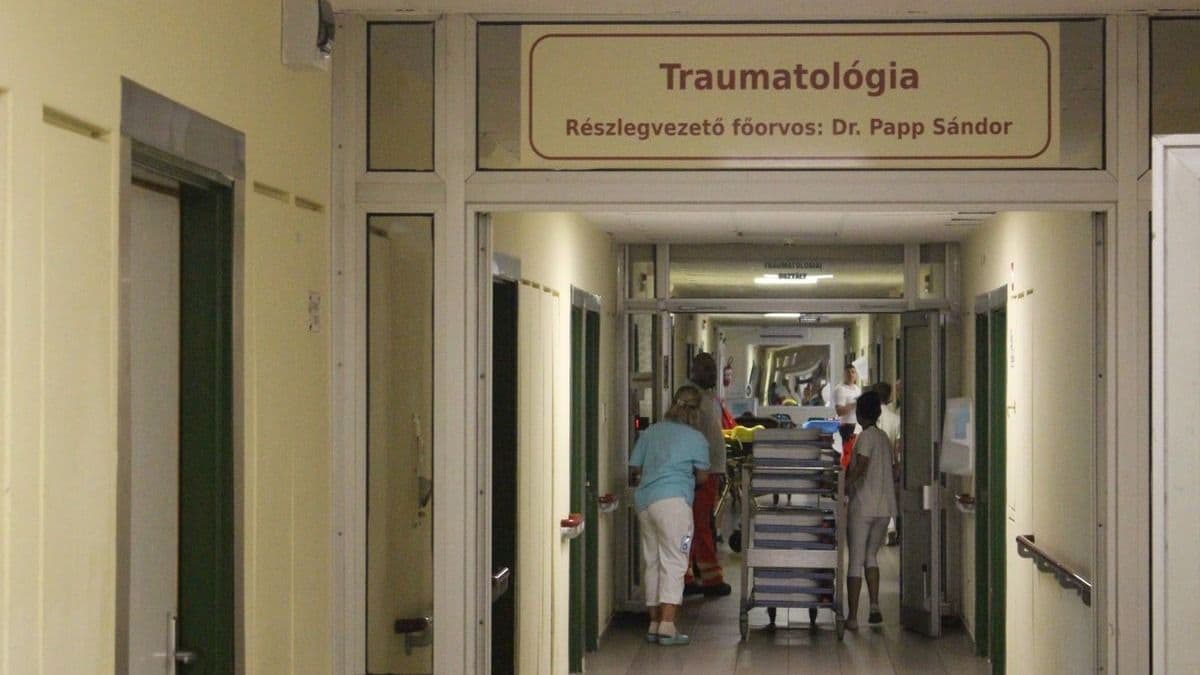 Rendkívüli levelet írt a lengyel kormány az egri kórháznak a megrázó busztragédia után