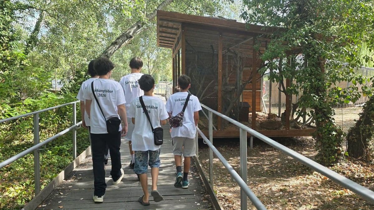 Sárkánytábor a Tisza-tónál: biztonságot és élményeket kaptak a kárpátaljai katonák gyermekei