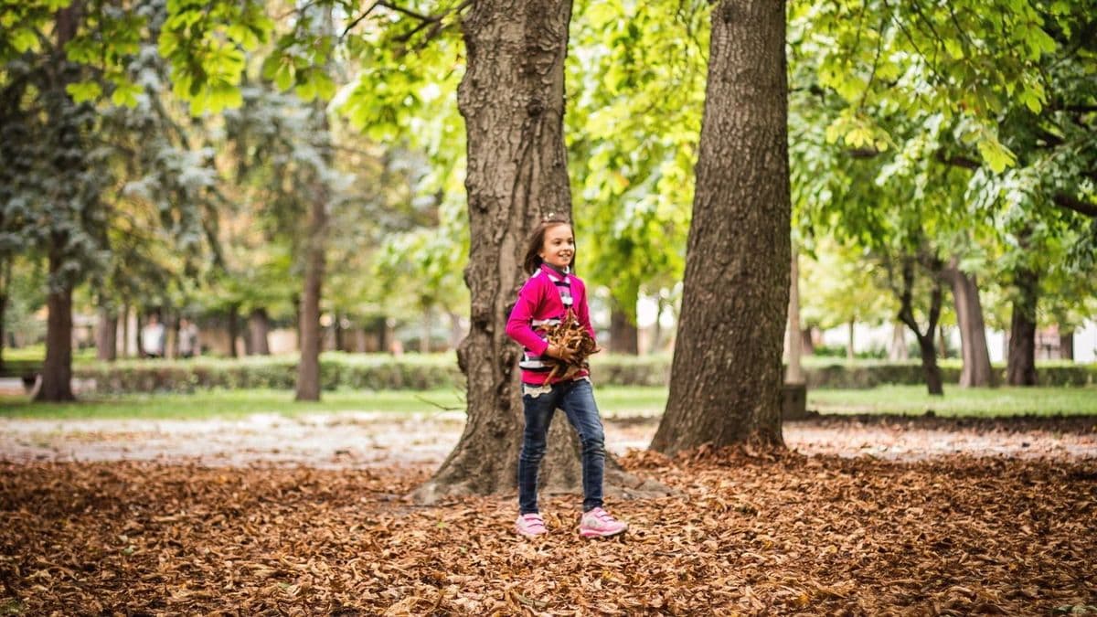 Nem akar véget érni a nyár: újabb meleg nap jön Hevesben