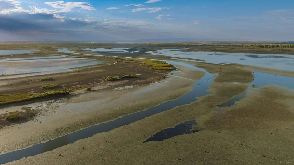 Megint különleges lelet bukkant elő a Tisza medréből, fotó a cikkben