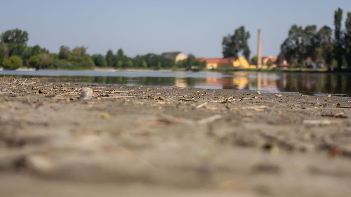 "Megtettünk minden tőlünk telhetőt" - itt vannak a tárkányi halmentő-akció eredményei