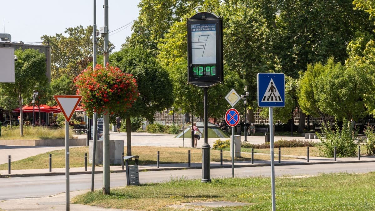 Brutális hőség Tatabányán: rekord közeli értéket mutatott a főtéri hőmérő +fotók