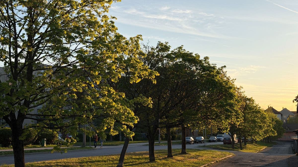 Még marad a nyár az iskolakezdéskor, de nagy változás jöhet a hét második felétől