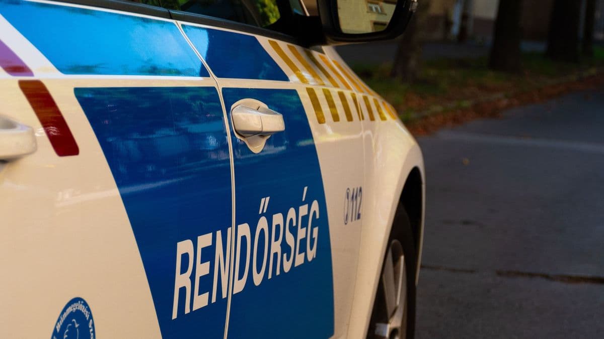 Rendőrségi akció Tatabányán, a drón is segített az elfogásban