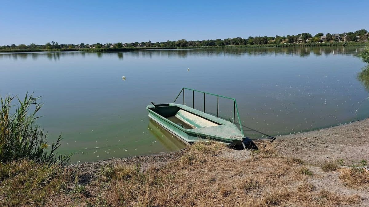 Az aszály miatt hamarabb indulhat a lehalászás a tatai halastóban