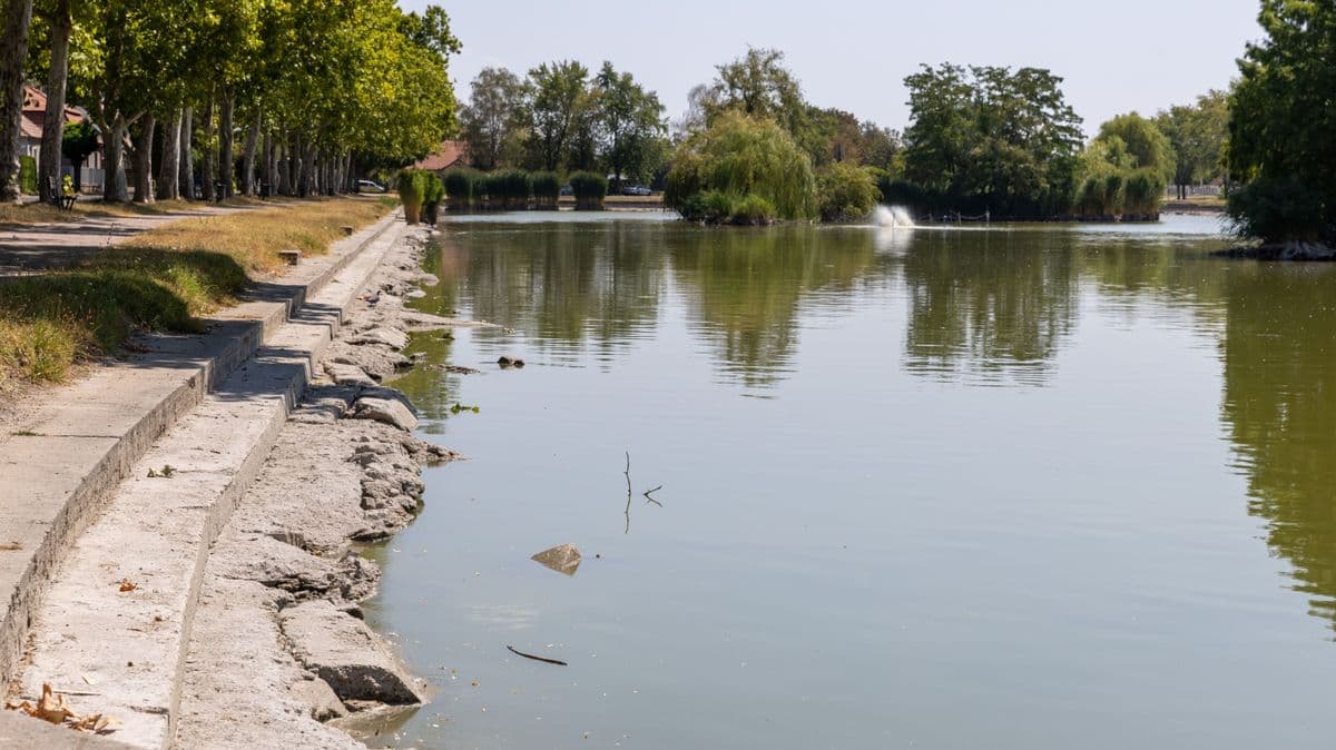 Drámai a helyzet a Rüdiger-tónál: óriási a küzdelem a halak életéért +videó