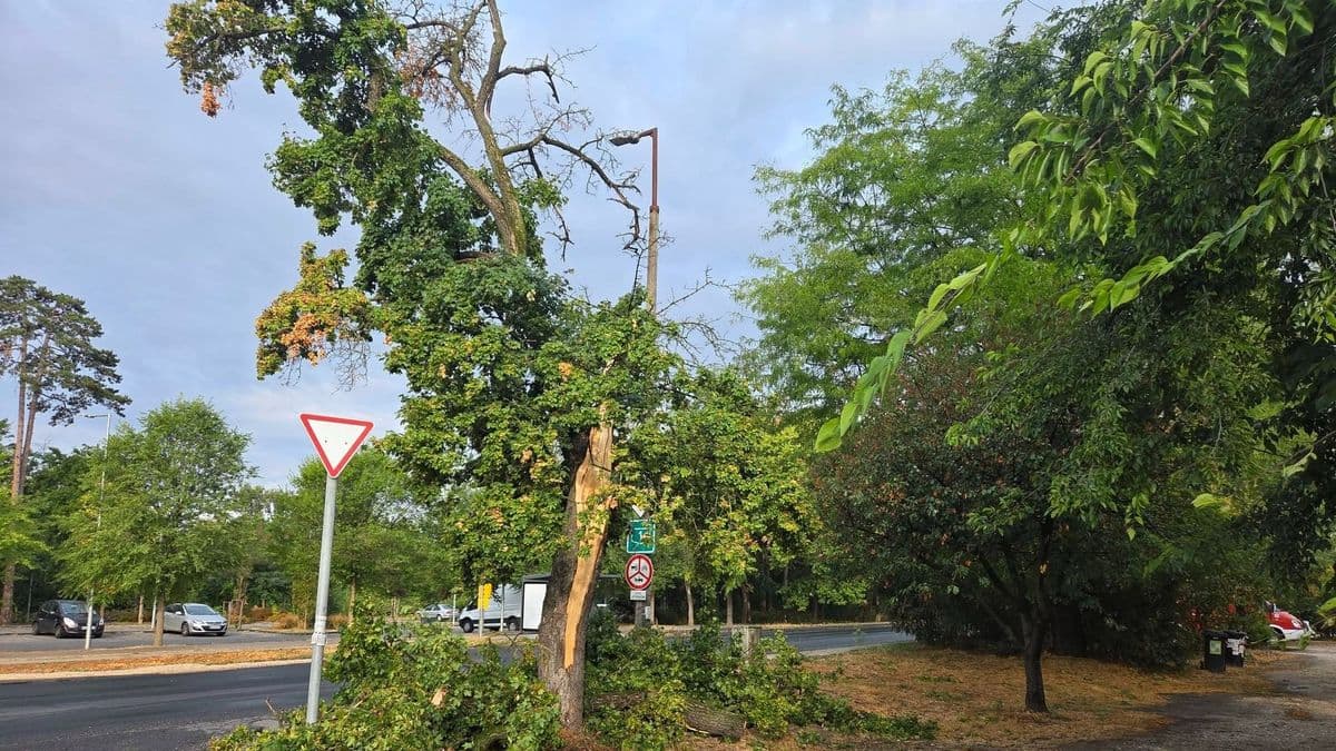 36-40 órája vannak áram nélkül az emberek: itt kőkeményen lecsapott a vihar