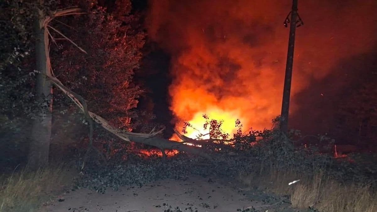 Tüzet okozott a durva szélvihar, lángolt a nádas 20-án