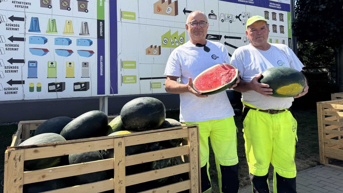 Ajándék a hőségben: dinnyét kaptak a győri kukások a munkahelyükön - fotó