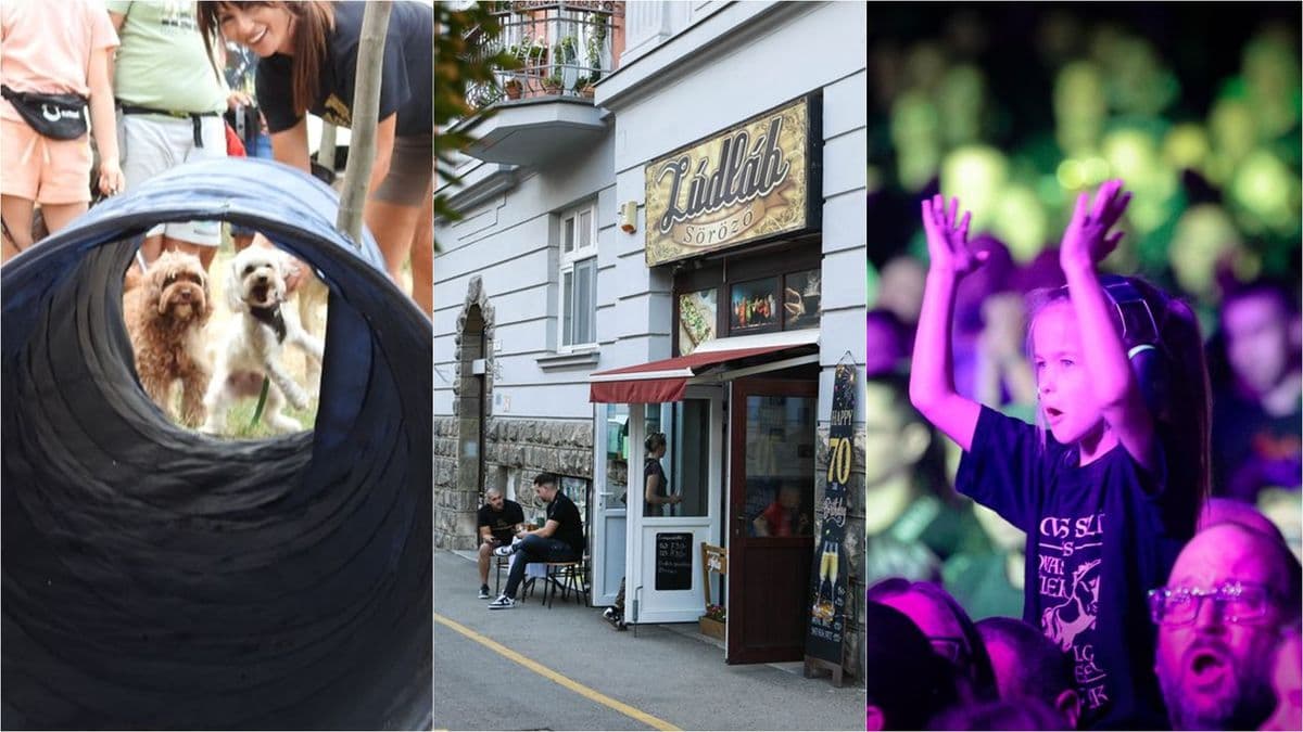 Kutyás tábor, Lord koncert, születésnap a győri sörözőben - Öt galériát hoztunk a hétvégéről